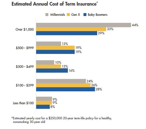 Estimated Annual Cost of Term Life Insurance